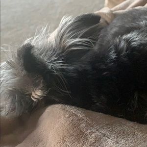 Meet your Posher, Bryce